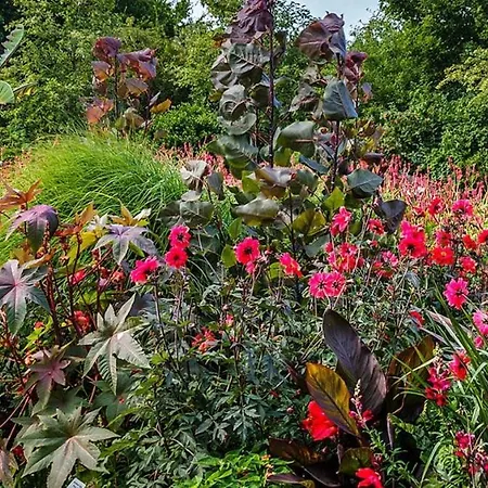 Hotel Petra Bad Zwischenahn